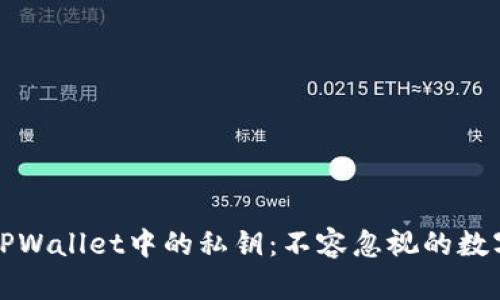 如何安全备份TPWallet中的私钥：不容忽视的数字资产保护方法