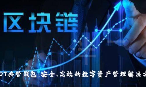 USDT共管钱包：安全、高效的数字资产管理解决方案