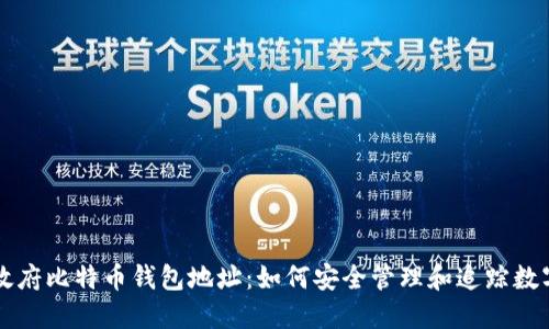 美国政府比特币钱包地址：如何安全管理和追踪数字资产