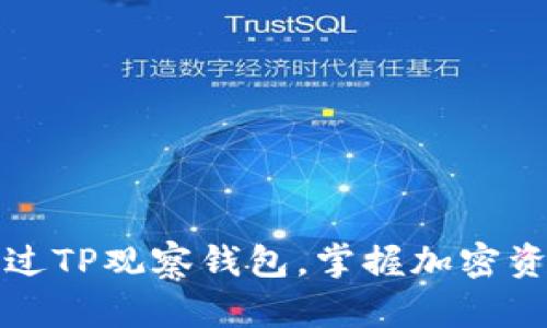 如何通过TP观察钱包，掌握加密资产动态
