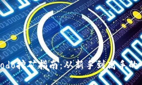 tpwalletdodo挖矿指南：从新手到高手的全方位解析