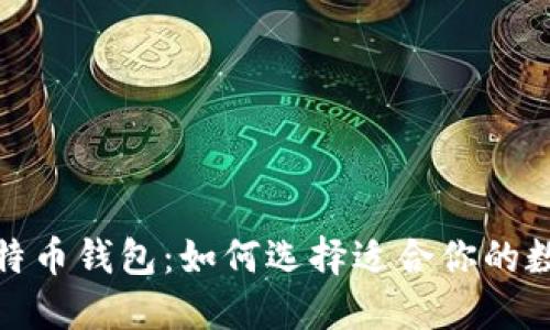探索比特币钱包：如何选择适合你的数字钱包