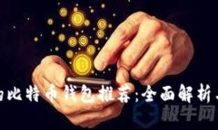 最适合你的比特币钱包推荐：全面解析