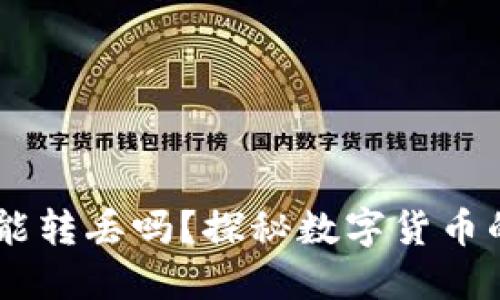 USDT在钱包里能转丢吗？探秘数字货币的安全性与风险
