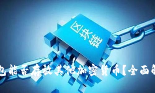 比特币钱包能否存放其他加密货币？全面解析及指南