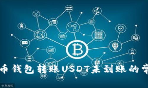 解决货币钱包转账USDT未到账的常见问题