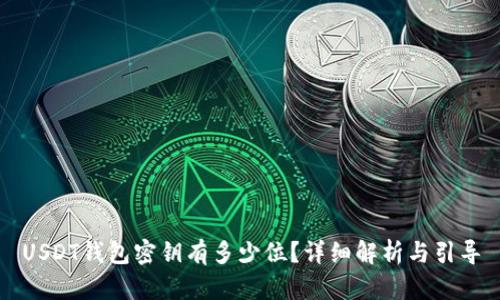 USDT钱包密钥有多少位？详细解析与引导
