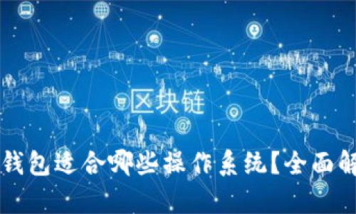 比特币冷钱包适合哪些操作系统？全面解析与推荐