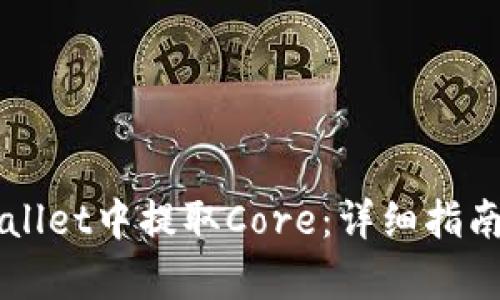 如何在TPWallet中提取Core：详细指南与步骤解析