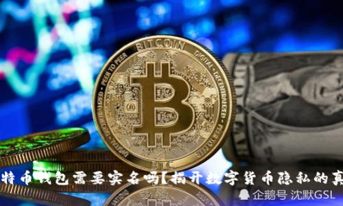比特币钱包需要实名吗？揭开数字货币隐私的真相