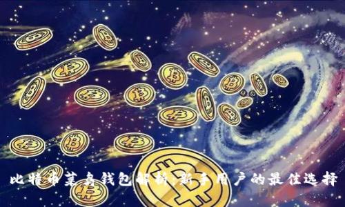 比特币菜鸟钱包解析：新手用户的最佳选择