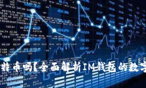 IM钱包能存比特币吗？全面解析IM钱包的数字货币存储功能