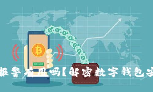 TPWallet被盗报警有用吗？解密数字钱包安全与应对措施