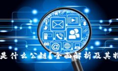 TPWallet是什么公链？全面解析及其特点和应用