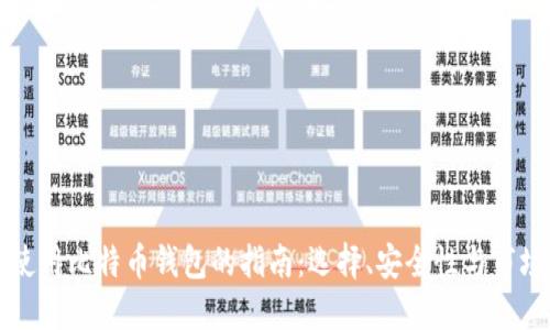 国内使用比特币钱包的指南：选择、安全性与市场动态