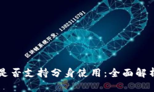 : TPWallet是否支持分身使用：全面解析与操作指南