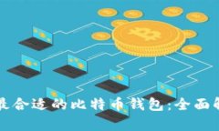 如何选择最合适的比特币钱包：全面解