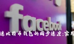 如何有效加速比特币钱包的同步速度：