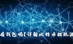 比特币提现一定要有钱包吗？详解比特