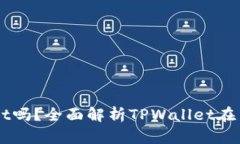 中国支持TPWallet吗？全面解析TPWallet在