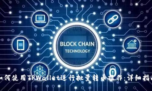 如何使用TPWallet进行批量转币操作：详细指南