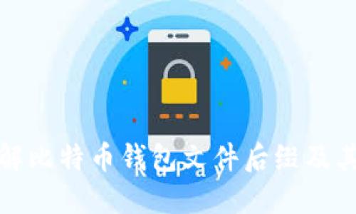 深入了解比特币钱包文件后缀及其重要性