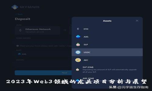 2023年Web3领域的龙头项目分析与展望