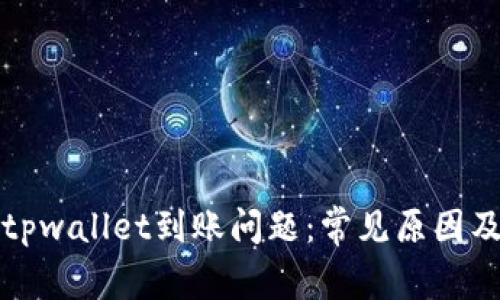如何解决tpwallet到账问题：常见原因及解决方案