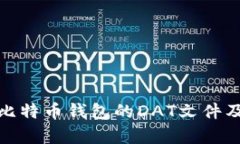 全面解析比特币钱包的DAT文件及其重要