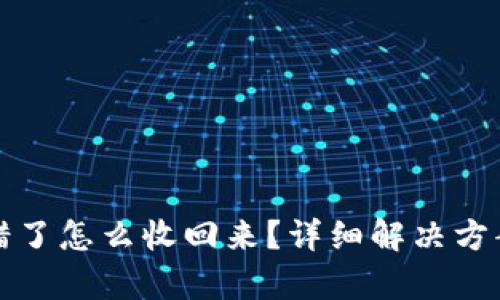 tpwallet转错了怎么收回来？详细解决方案与步骤解析