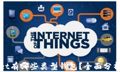 
TPWallet有哪些类型钱包？全面分析与对比