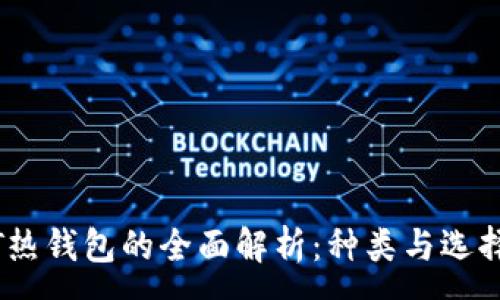 :
USDT热钱包的全面解析：种类与选择指南