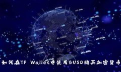 如何在TP Wallet中使用BUSD购买加密货币