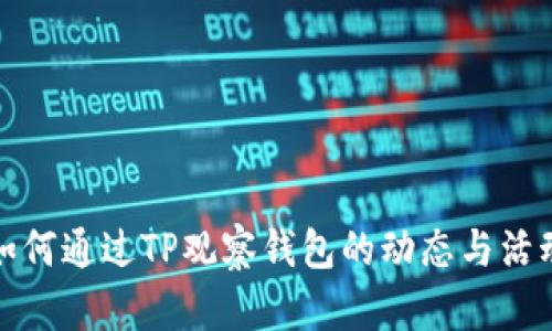 如何通过TP观察钱包的动态与活动