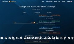 比特币钱包的最大账户数量：全面解析