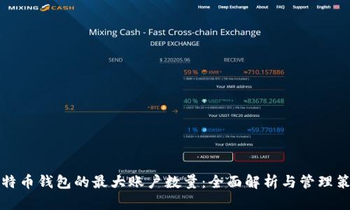 比特币钱包的最大账户数量：全面解析与管理策略