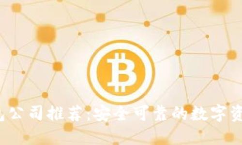  比特币钱包公司推荐：安全可靠的数字资产管理方案