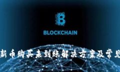 tpwallet新币购买未到账解决方案及常见