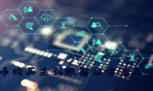 tpwallet新币购买未到账解决方案及常见问题解析