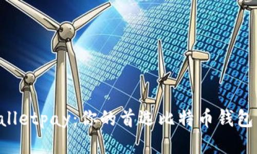 Instawalletpay：你的首选比特币钱包详细指南