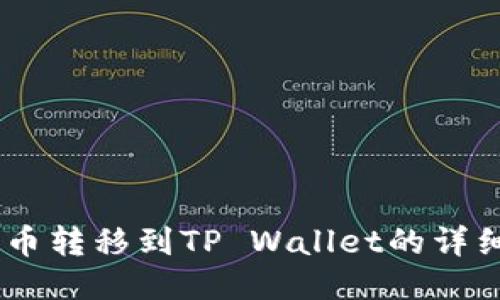  XRP币转移到TP Wallet的详细指南
