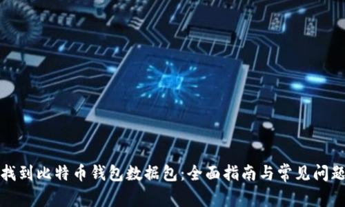 如何找到比特币钱包数据包：全面指南与常见问题解答