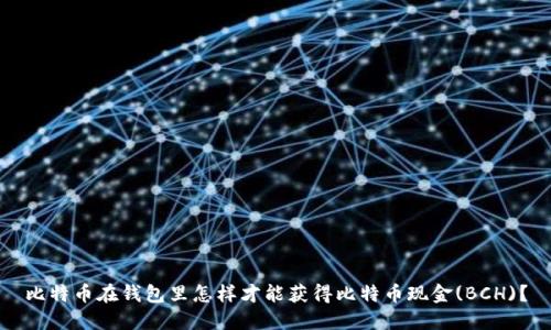 比特币在钱包里怎样才能获得比特币现金(BCH)？
