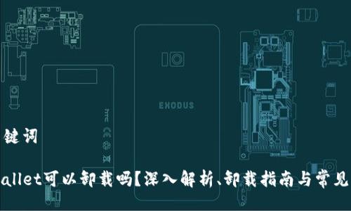 及关键词

TPWallet可以卸载吗？深入解析、卸载指南与常见问题